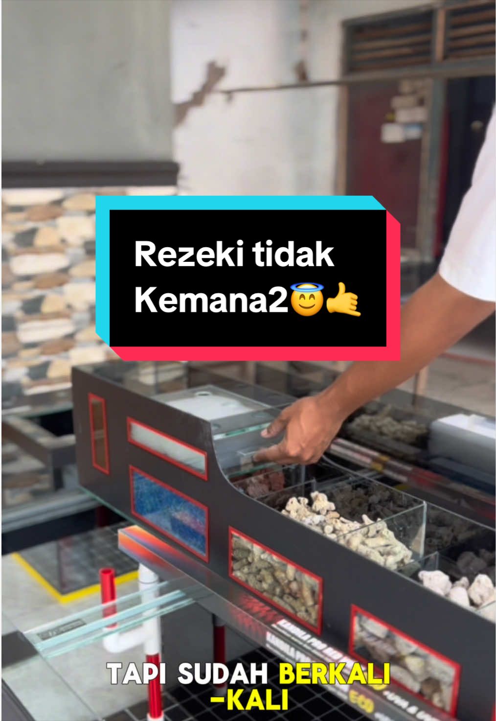 @Panjul Aquafish
