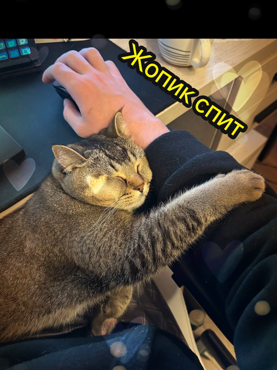 @Деревенское трио и не только