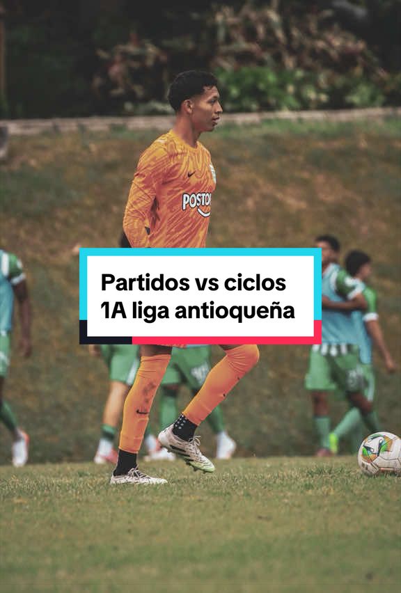 @Pacheco