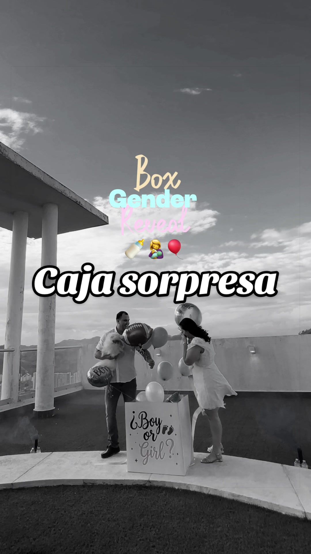 @Aly🐱