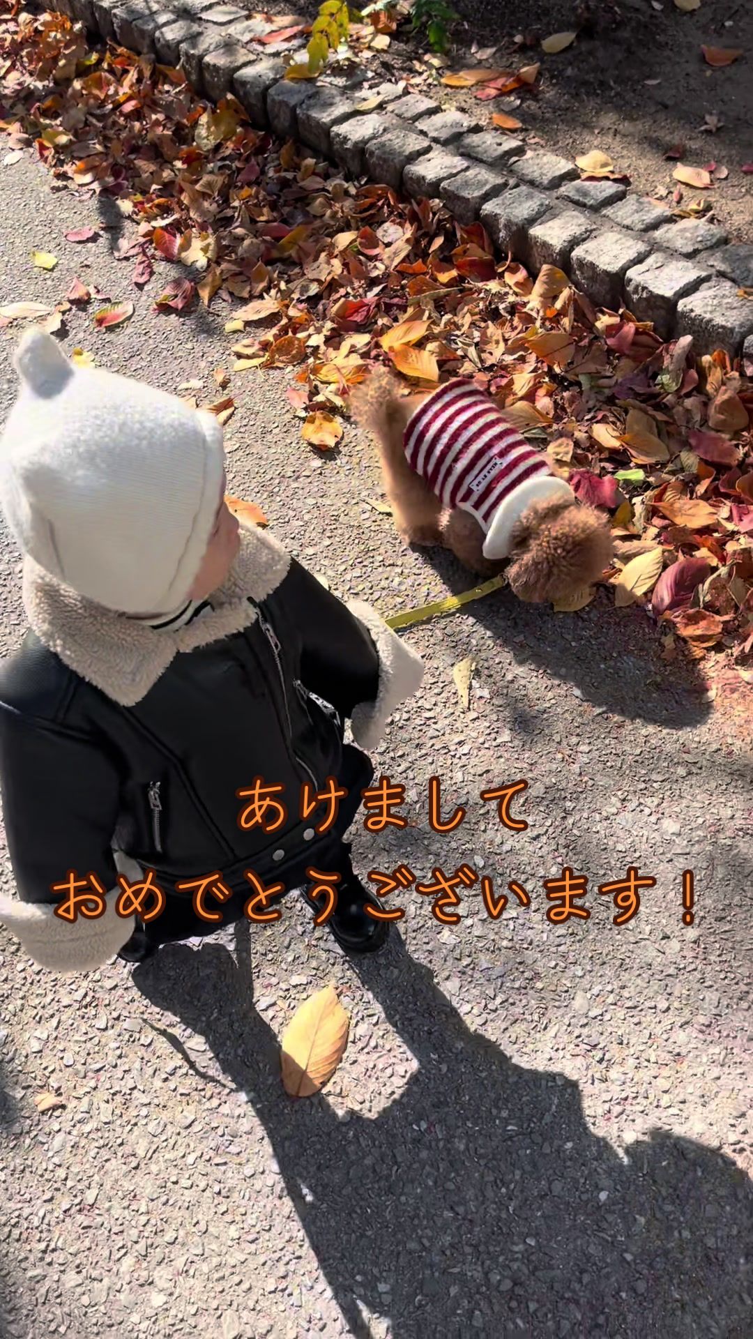 @しゃこたん犬ぽこ🐶🐰with子分