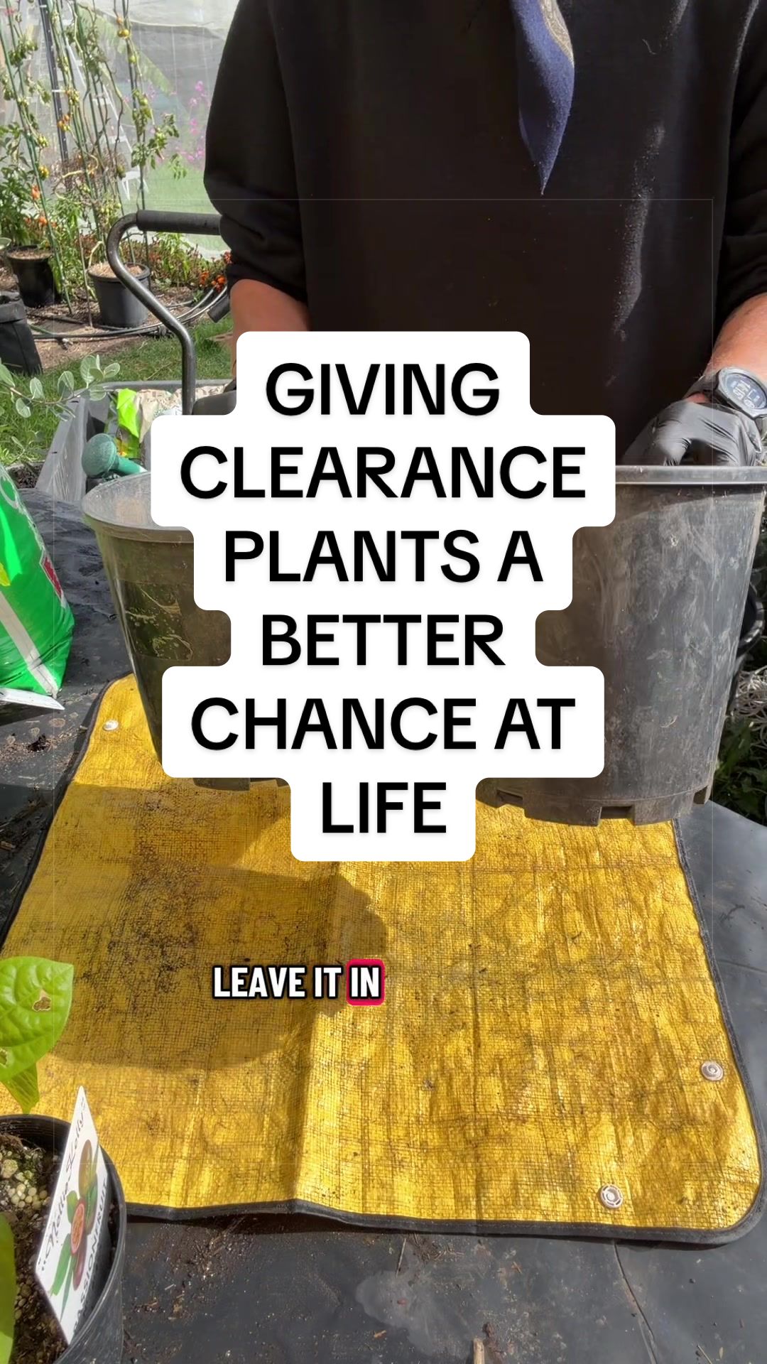 @busy chris gardening