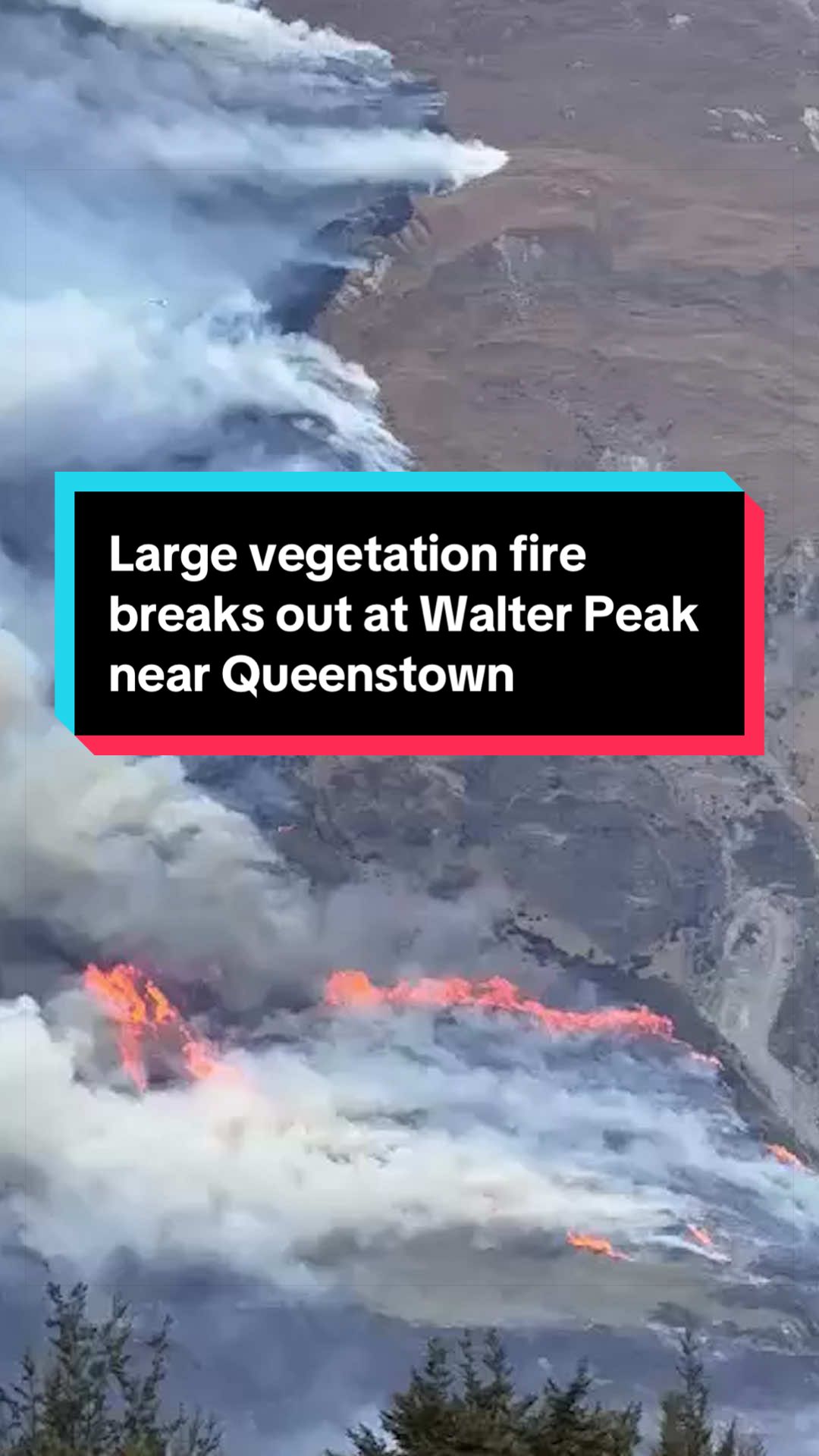 @NZstuff