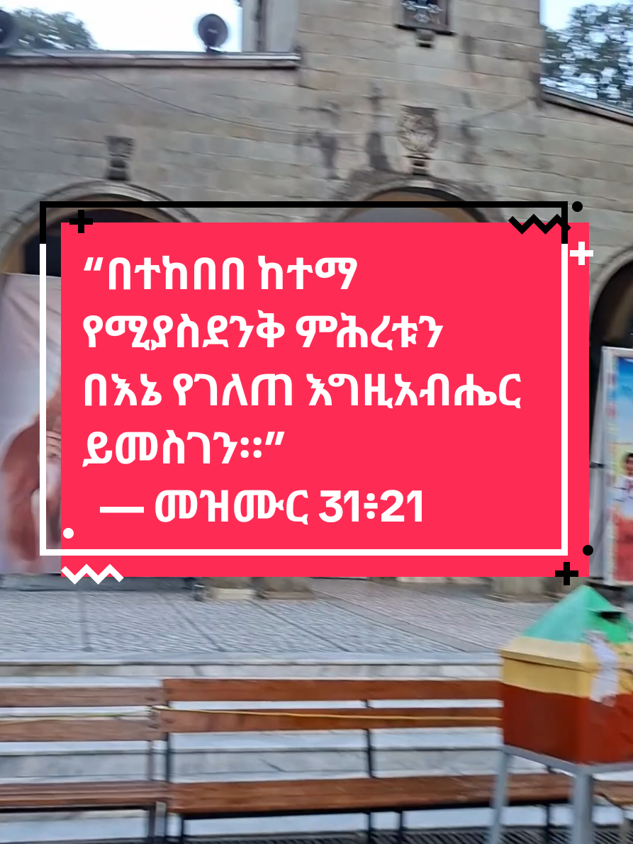 @Thomas (Tamrat)