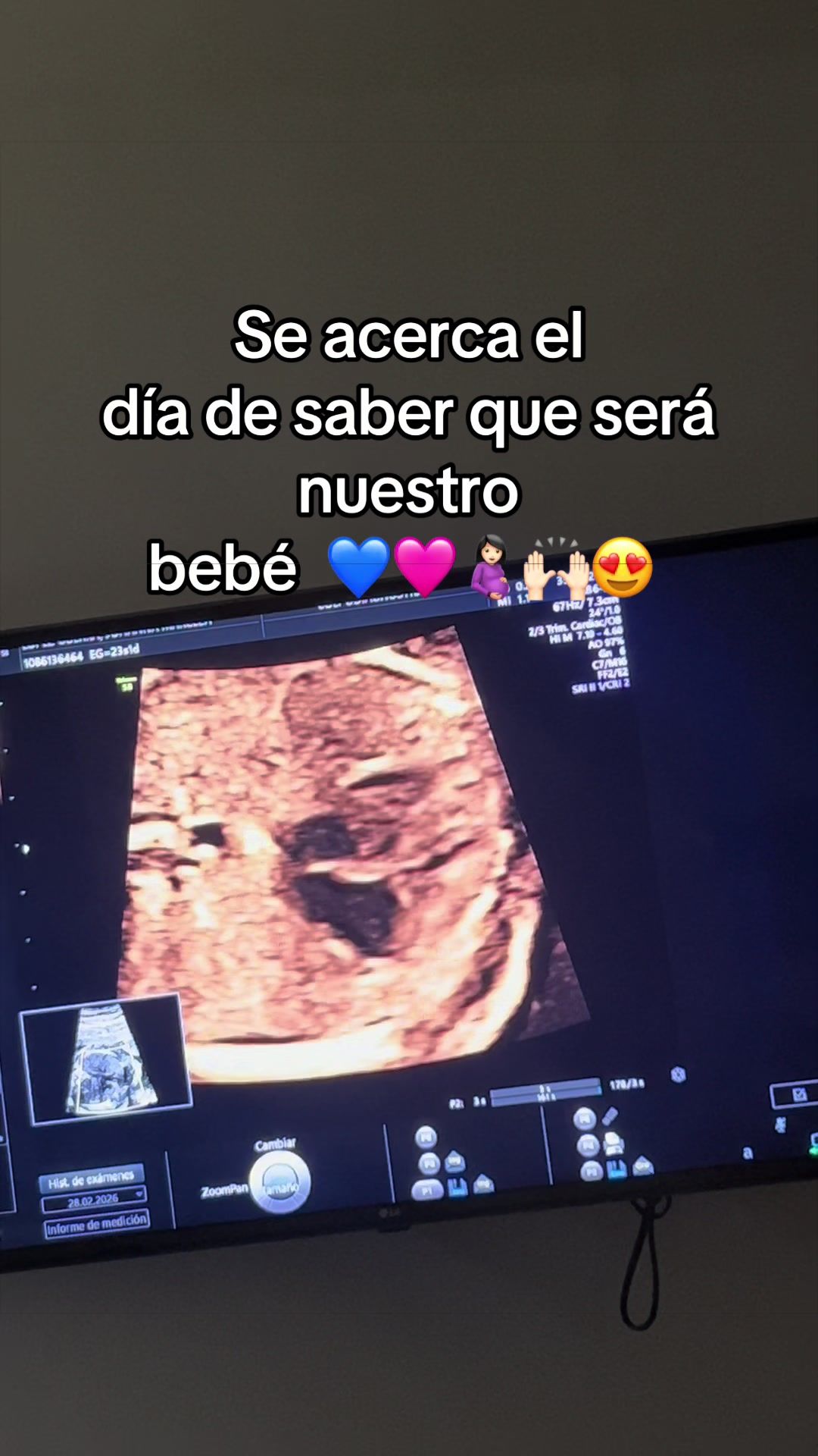 @talparacual