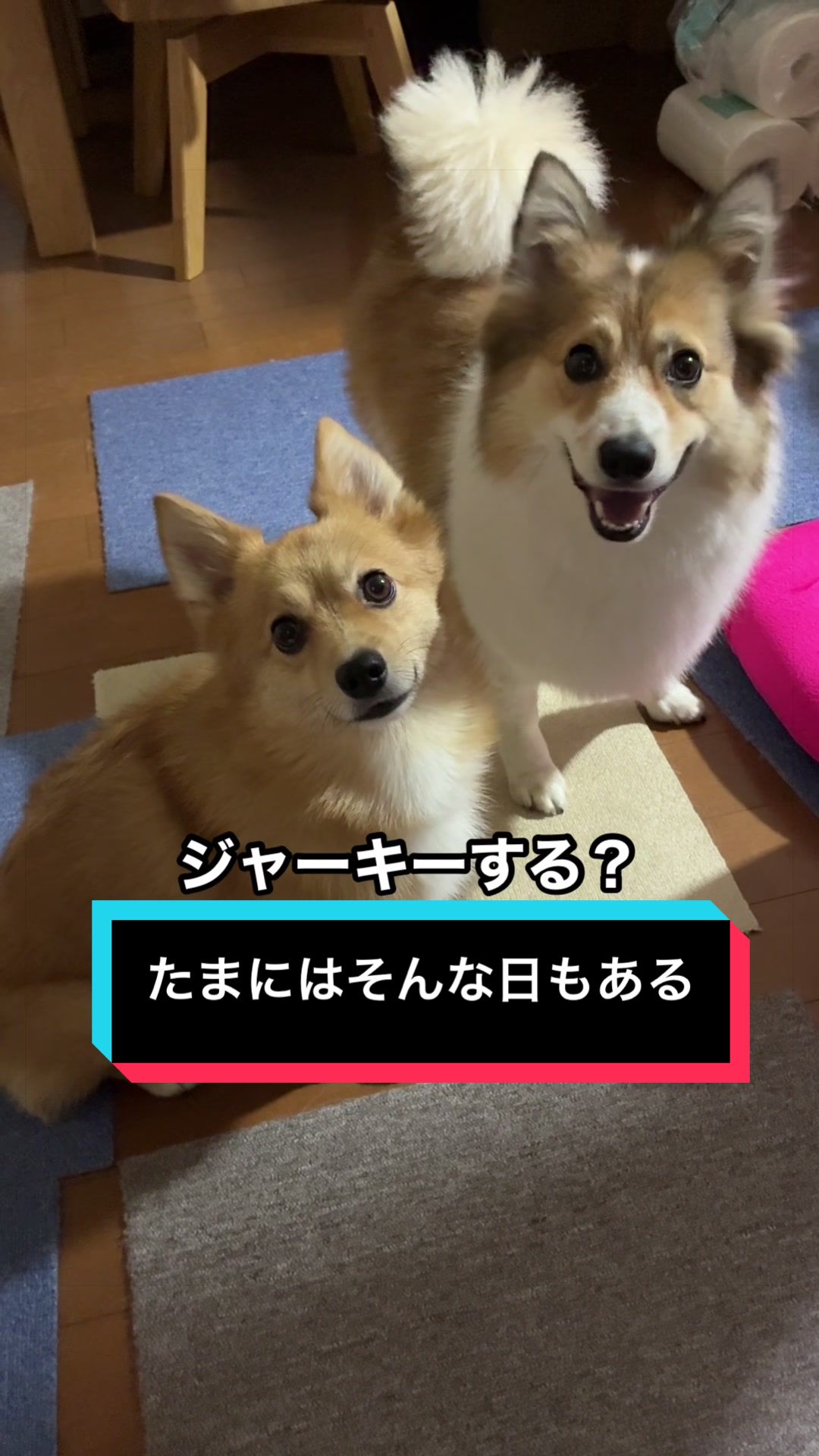 @サクサクビスケット