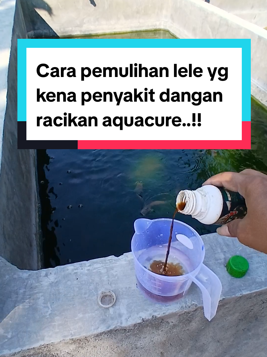 @Kang_Ewi