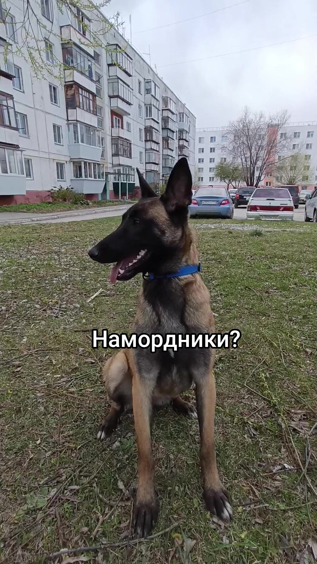 @⚡Кита from авито⚡
