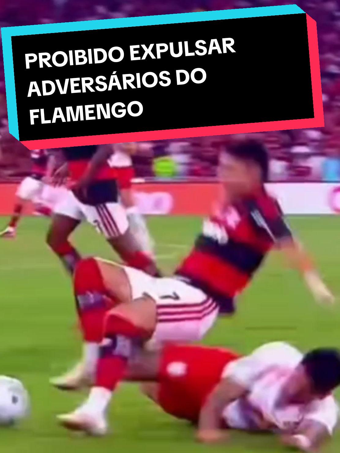 @analistaleigo