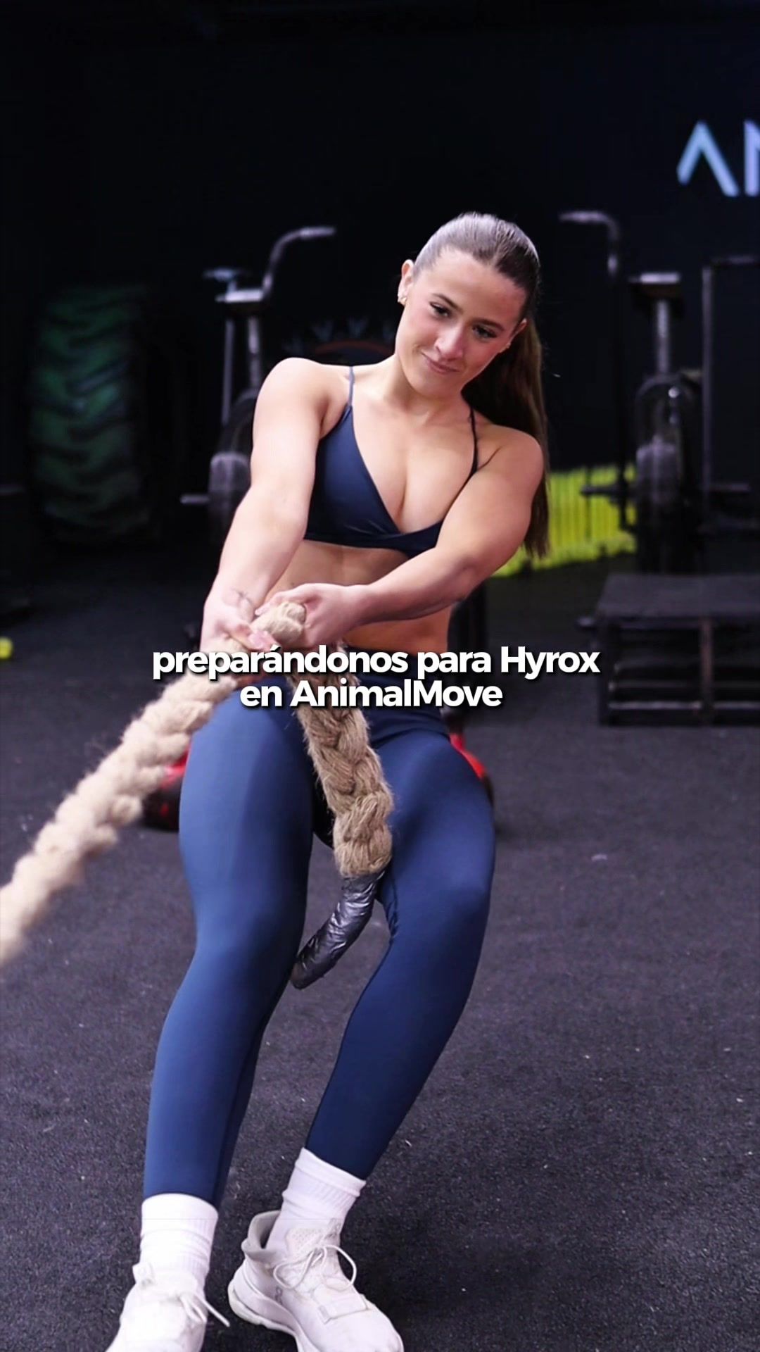 @ANIMAL MOVE