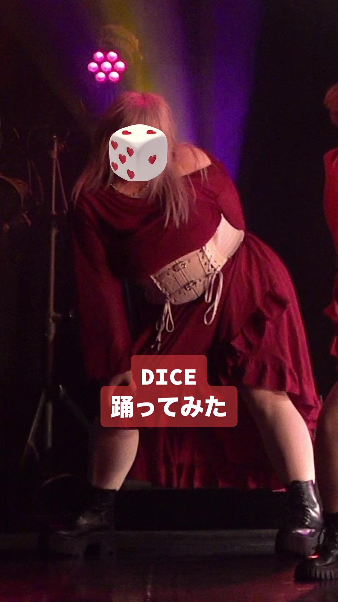 @ぷにぷにたぬき