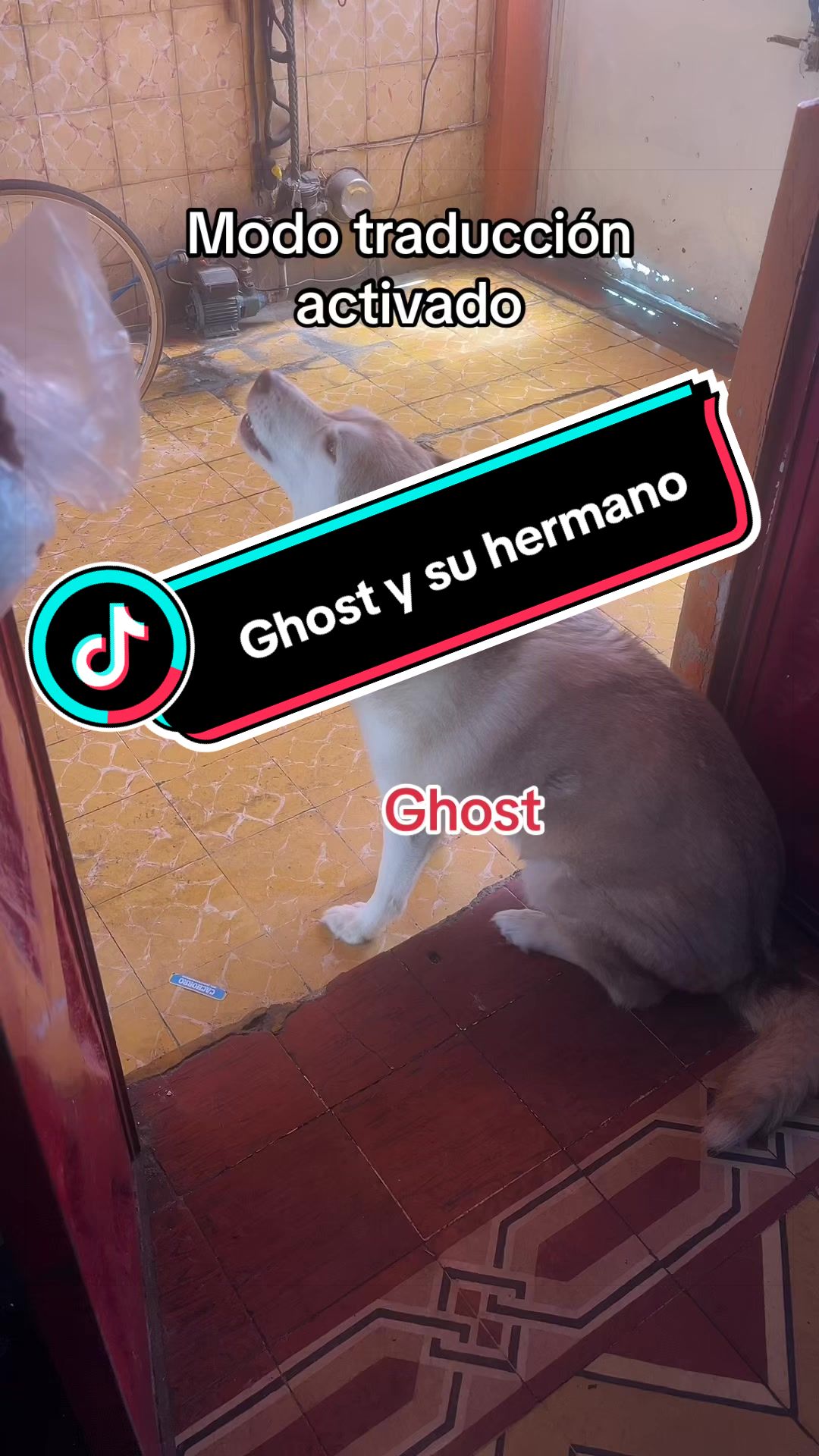 @Benjamin Camacho
