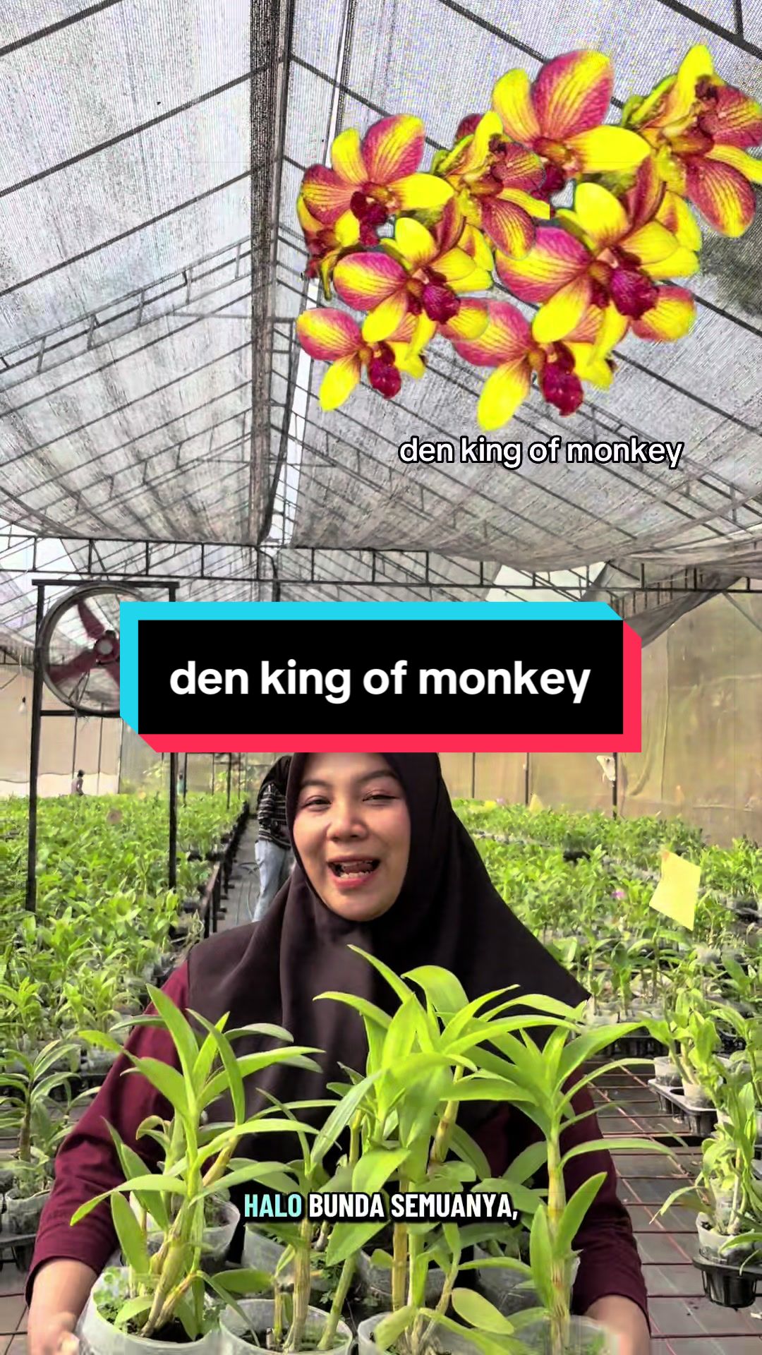 @Griya sekarindo utama