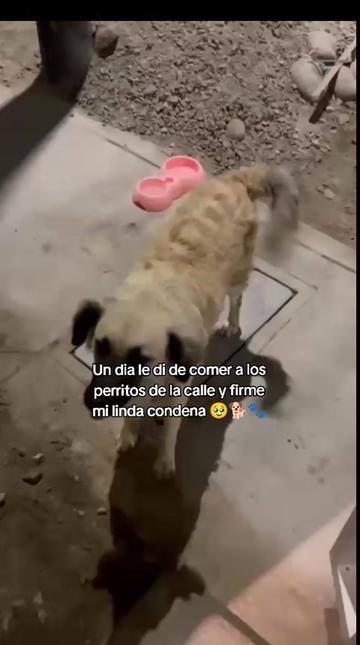 @Grecia 🇵🇪 🇩🇪
