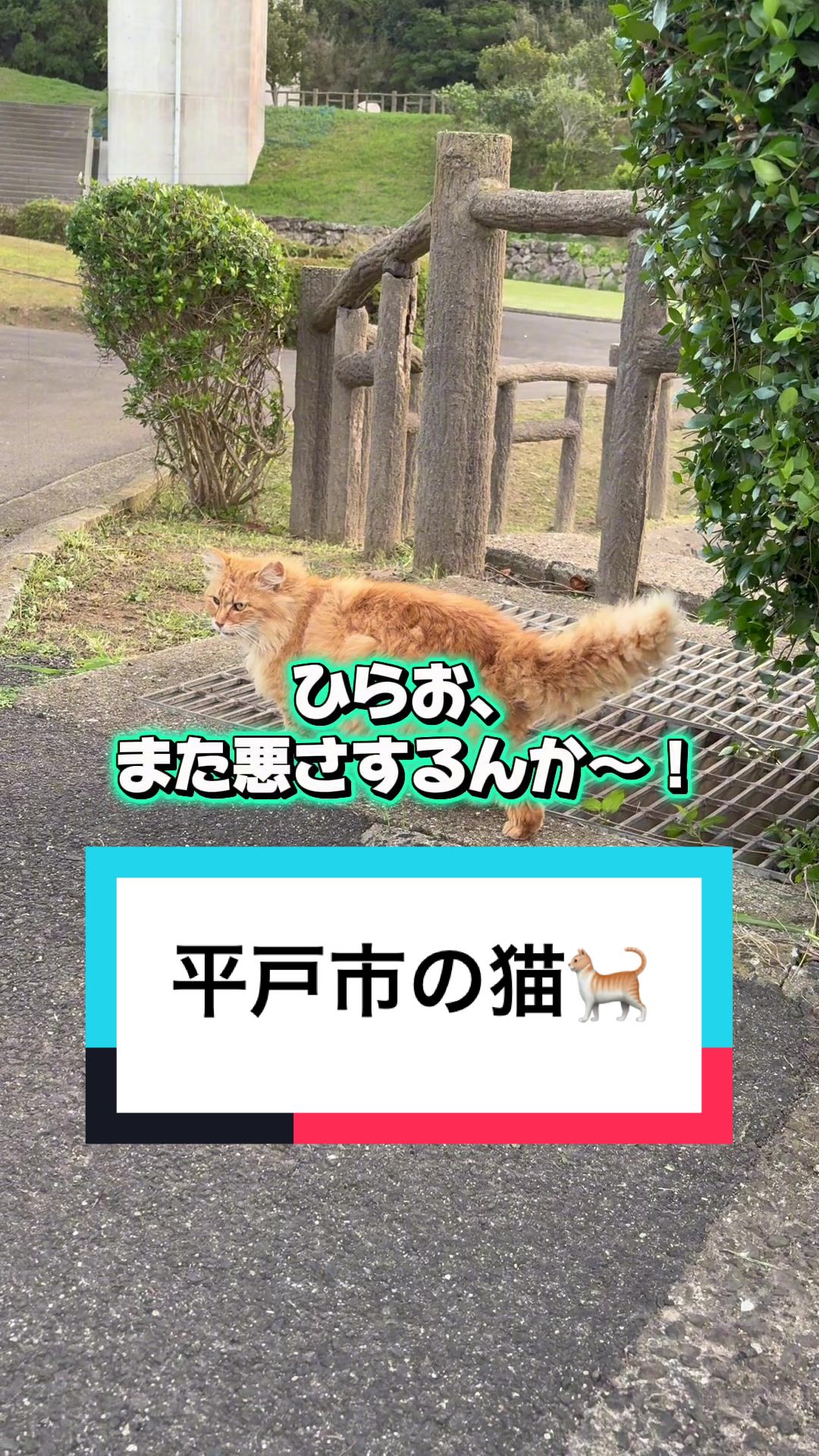@ベルビート(哲也)👼🏻🩵