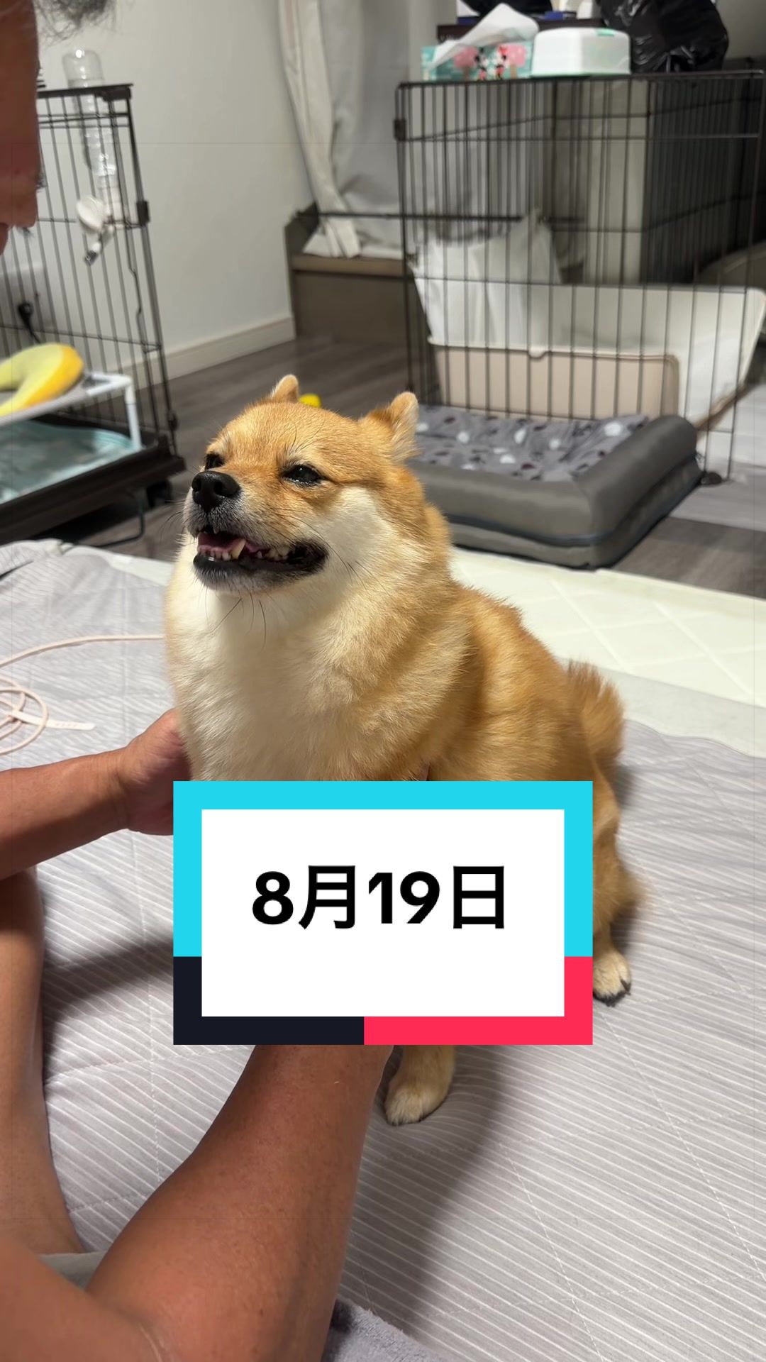 @🐶とん&ぺっぺこぺー🦊