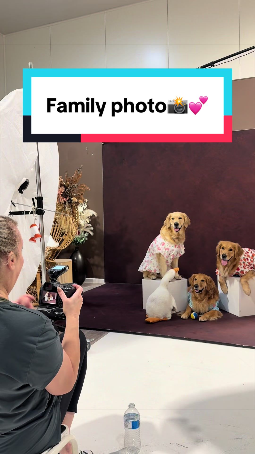 @3goldenretriever