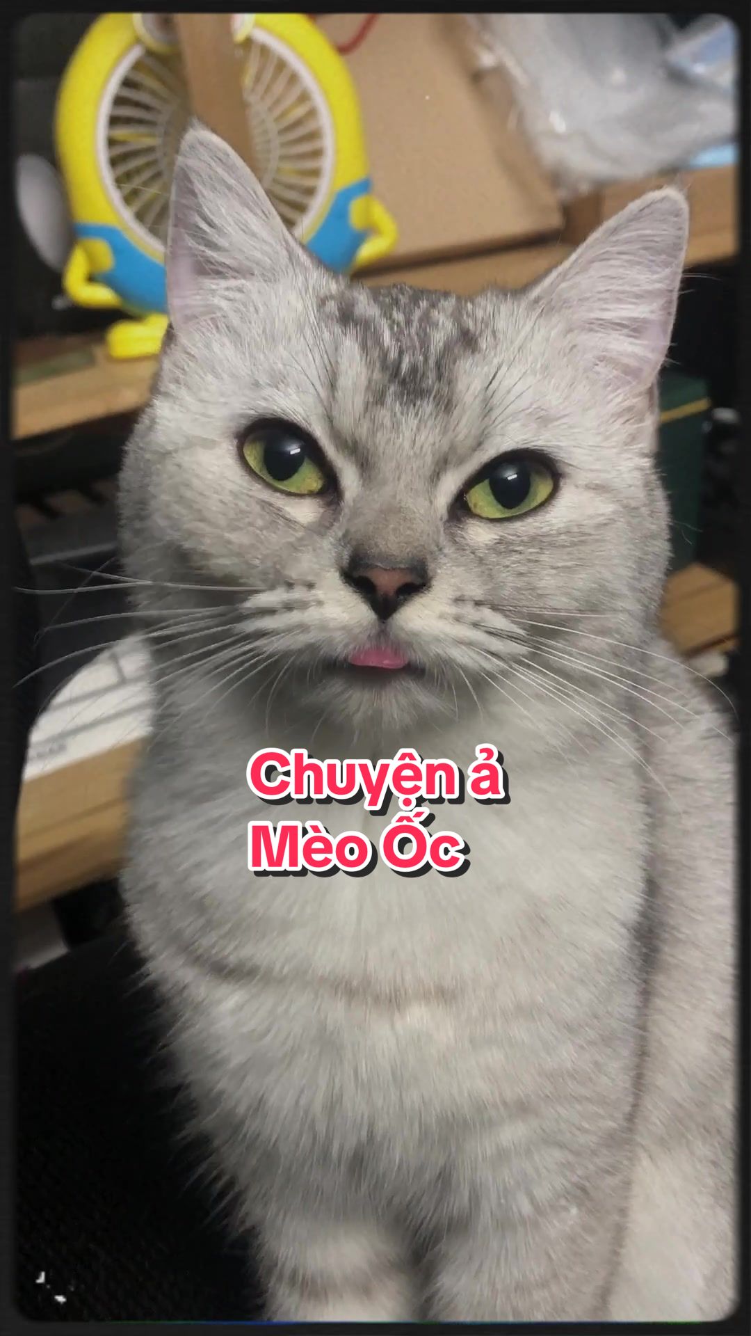 @Ốc Và Con