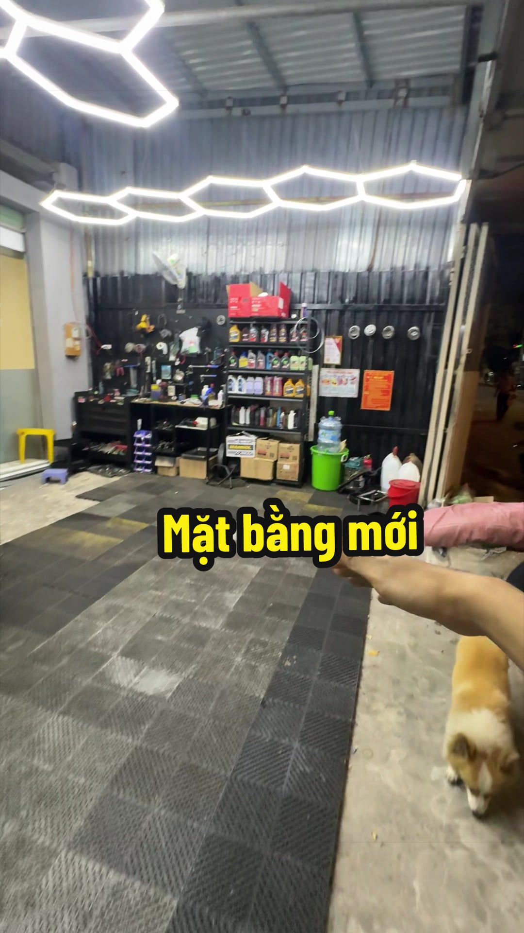 @Đạt L&agrave; 🇻🇳