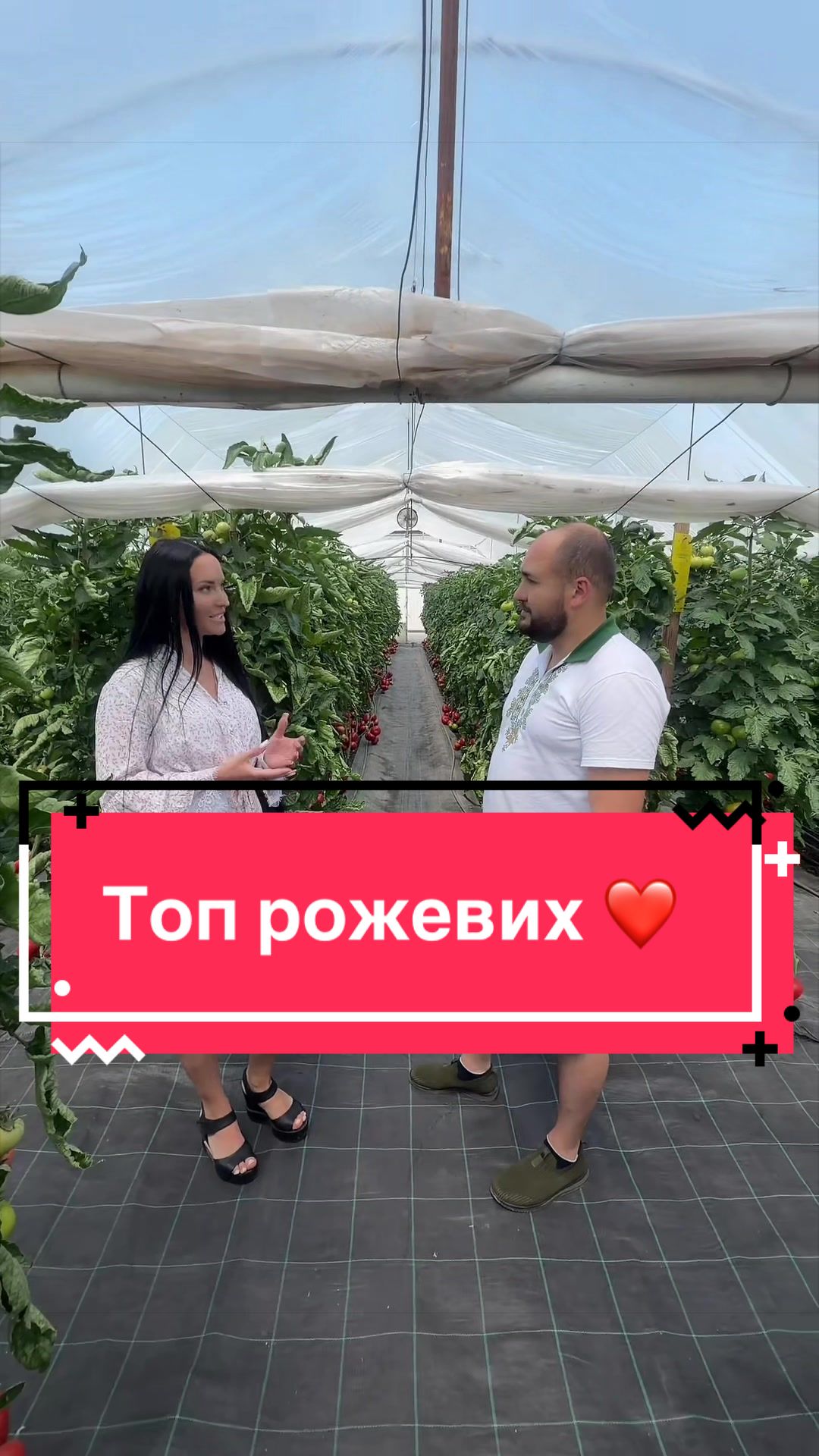 @Золотий Гектар|Насіння,Добрива