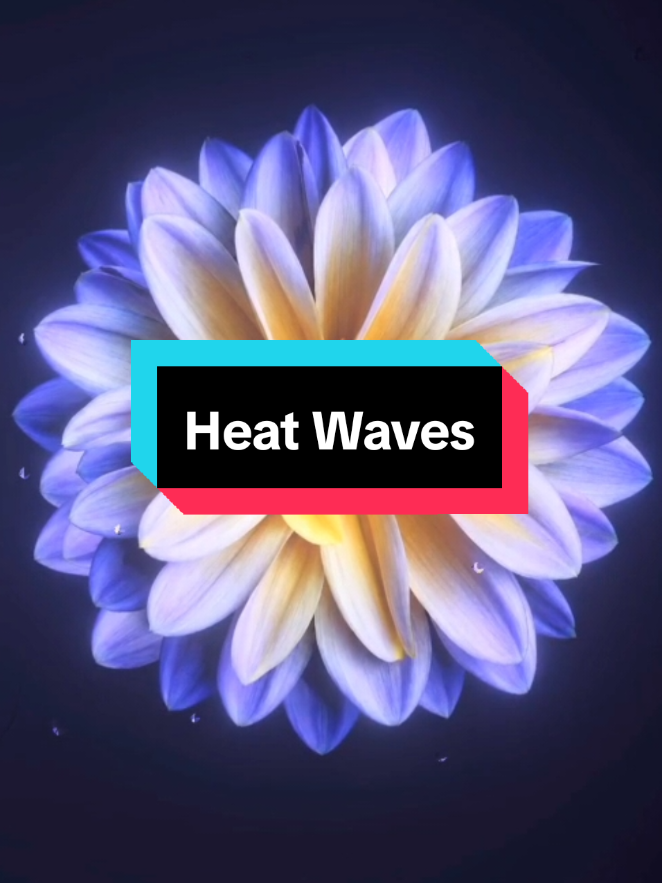 @𝗘𝗶𝘇𝗲𝗻𝗹𝘆𝗿𝗶𝗰𝘀 ☀︎