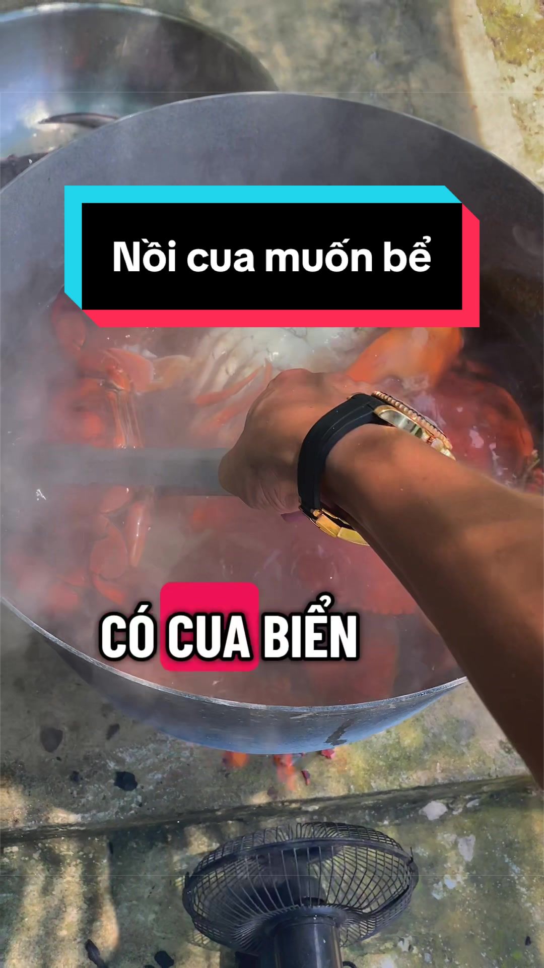 @Tuananh Do