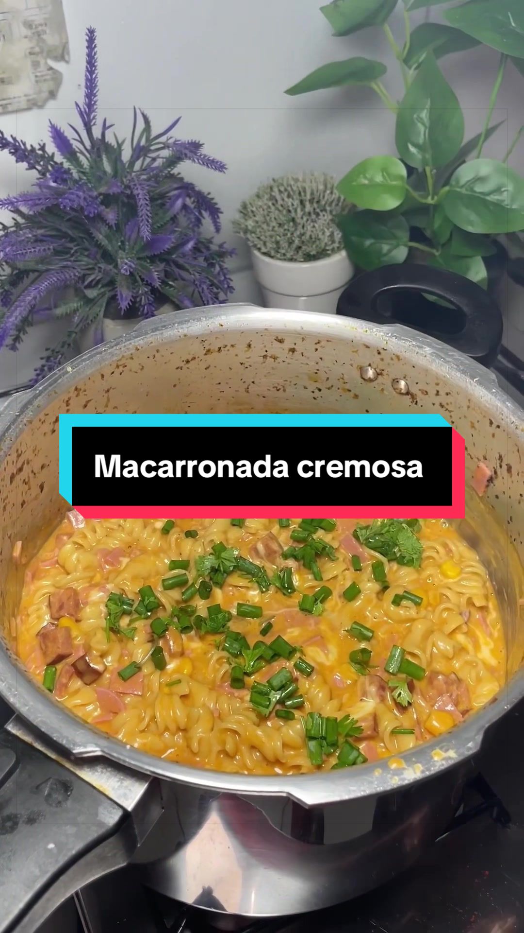 @receitinhassimplesdamary