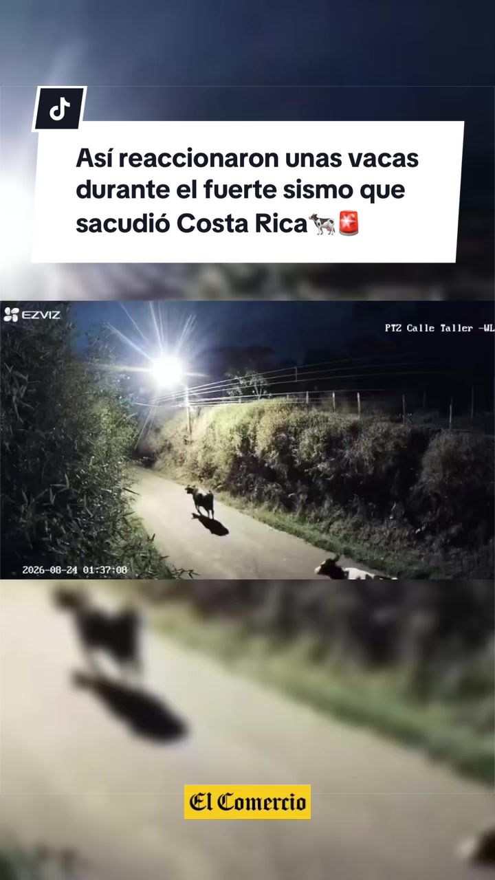 @Diario El Comercio