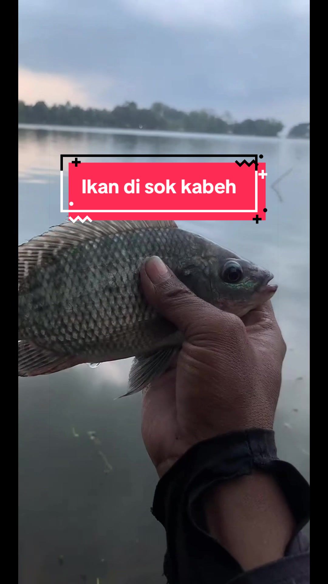 @MAFIA FISHING
