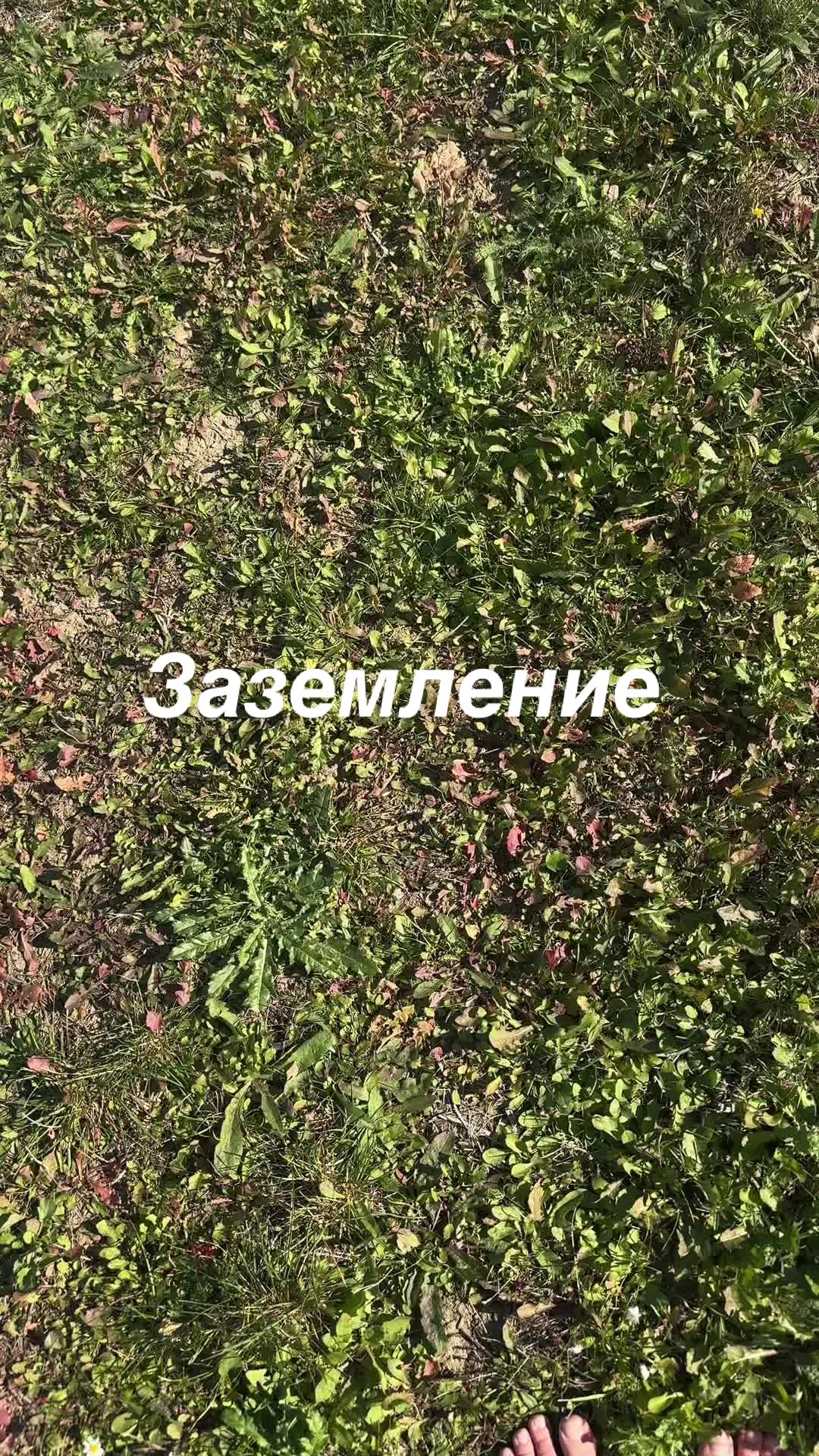 @simona.avdeeva