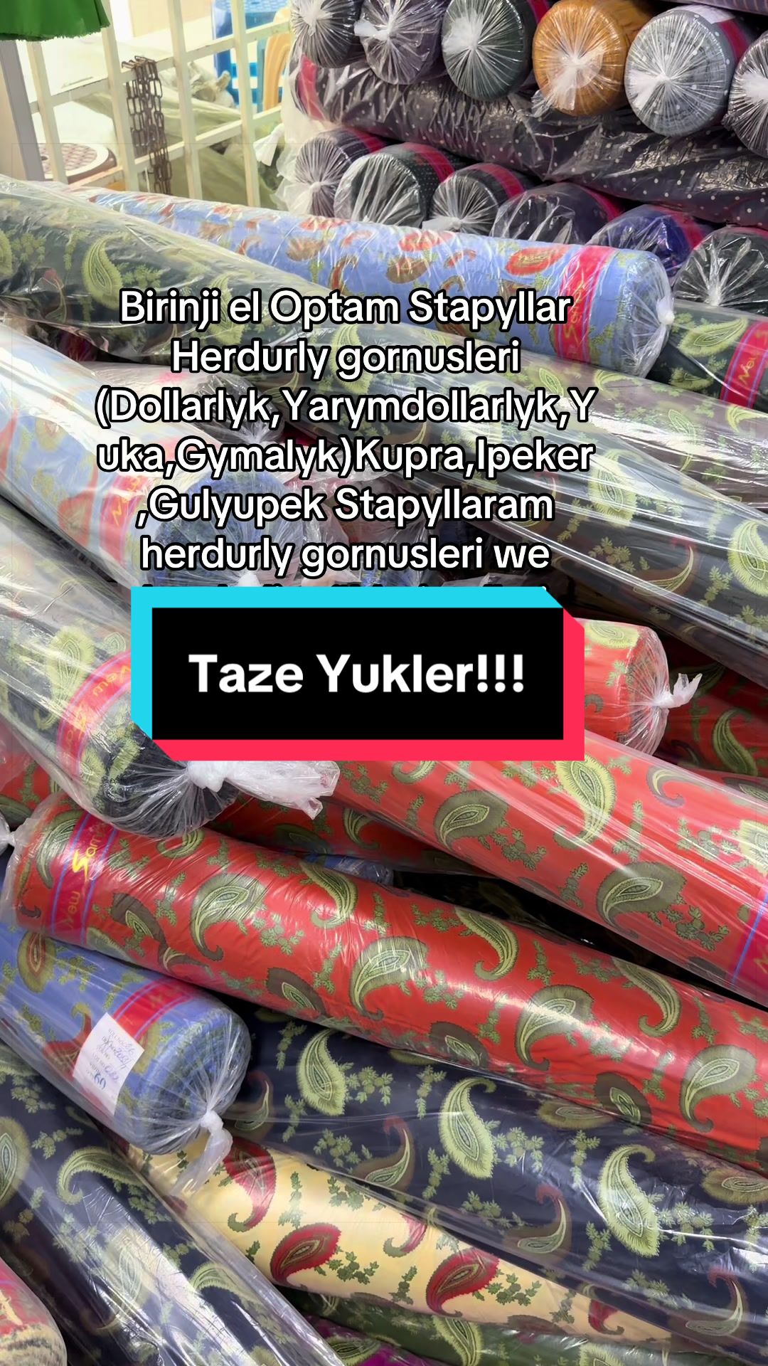 @Birinji el Optam Stapyllar1