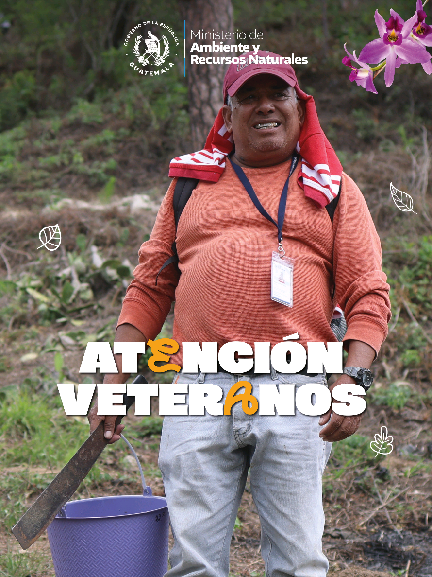 @Ministerio de Ambiente GT