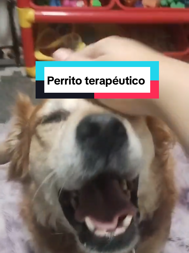 @Dulce Garc&iacute;a| Psic&oacute;loga🧠❤️&zwj;🩹