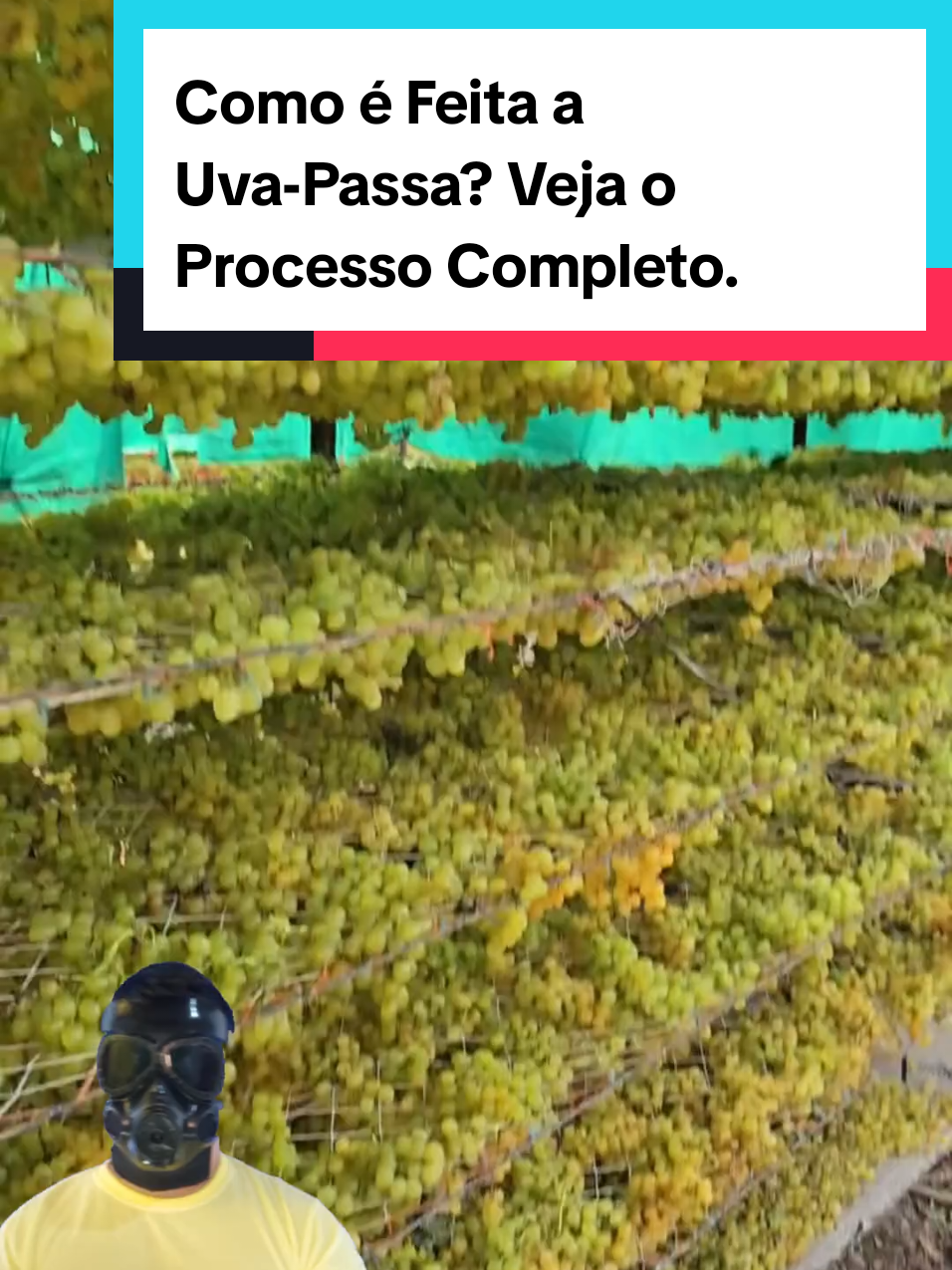 @Mundo da Curiosidades