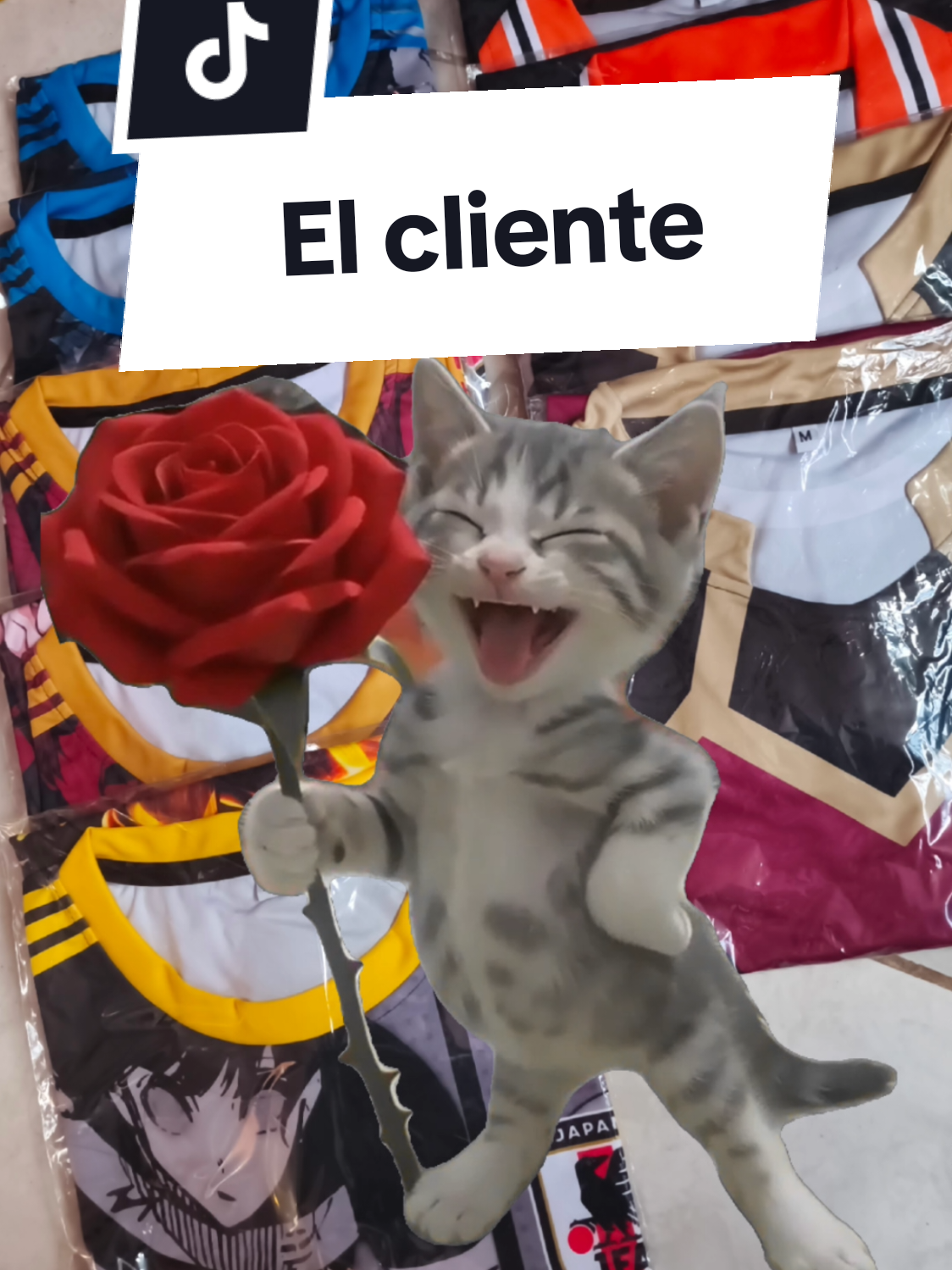 @Li Cosplay
