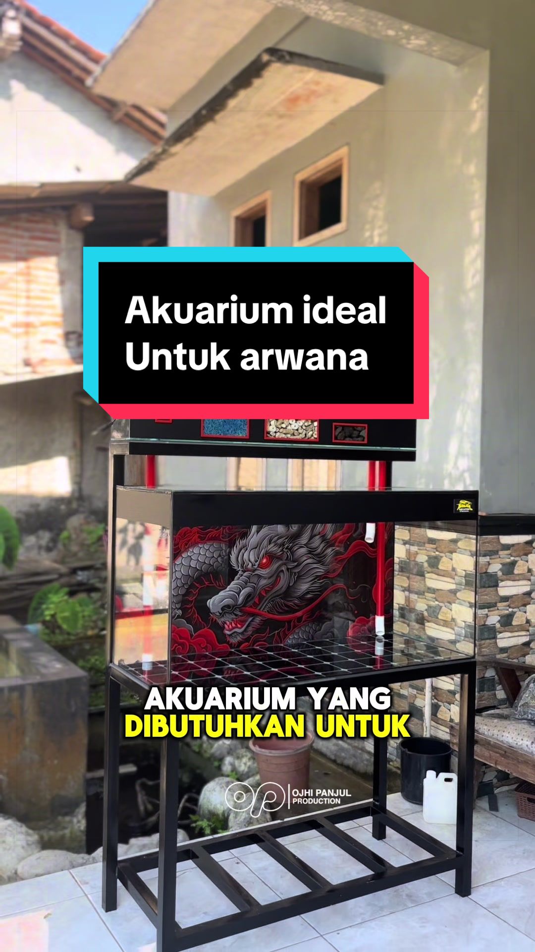@Panjul Aquafish
