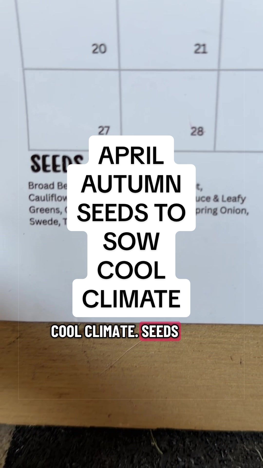 @busy chris gardening