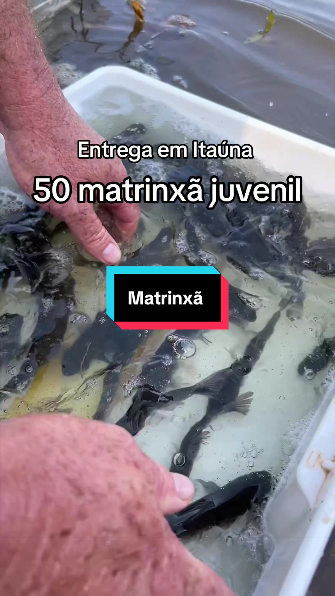 @Walter Fish