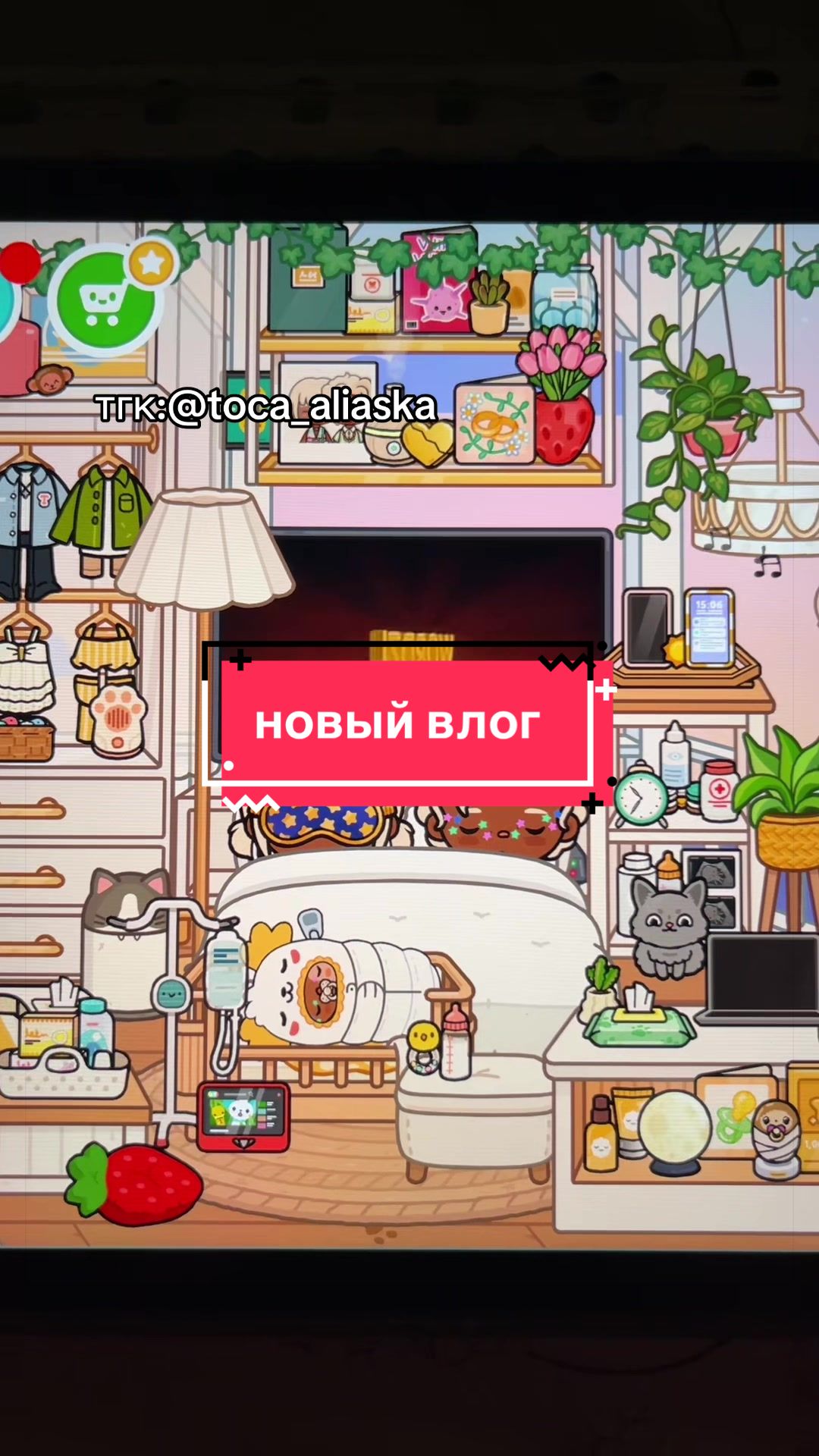 @۶ৎ ꒰ 🐚 𝑨𝑳𝑰𝑨𝑺𝑲𝑨ᵎᵎ 🍦ˎˊ˗