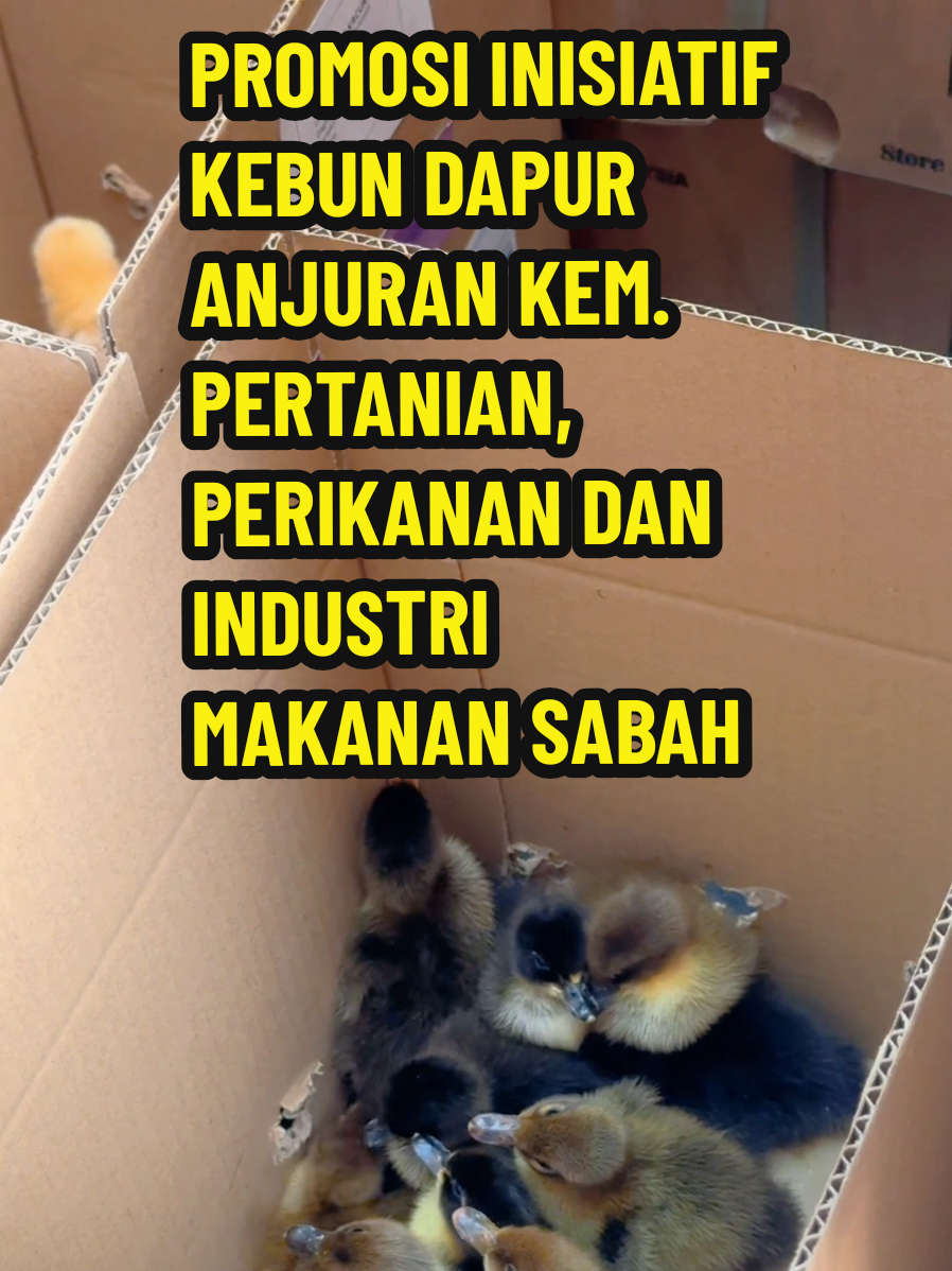 @Jumain Abd Ghani (DJAG)