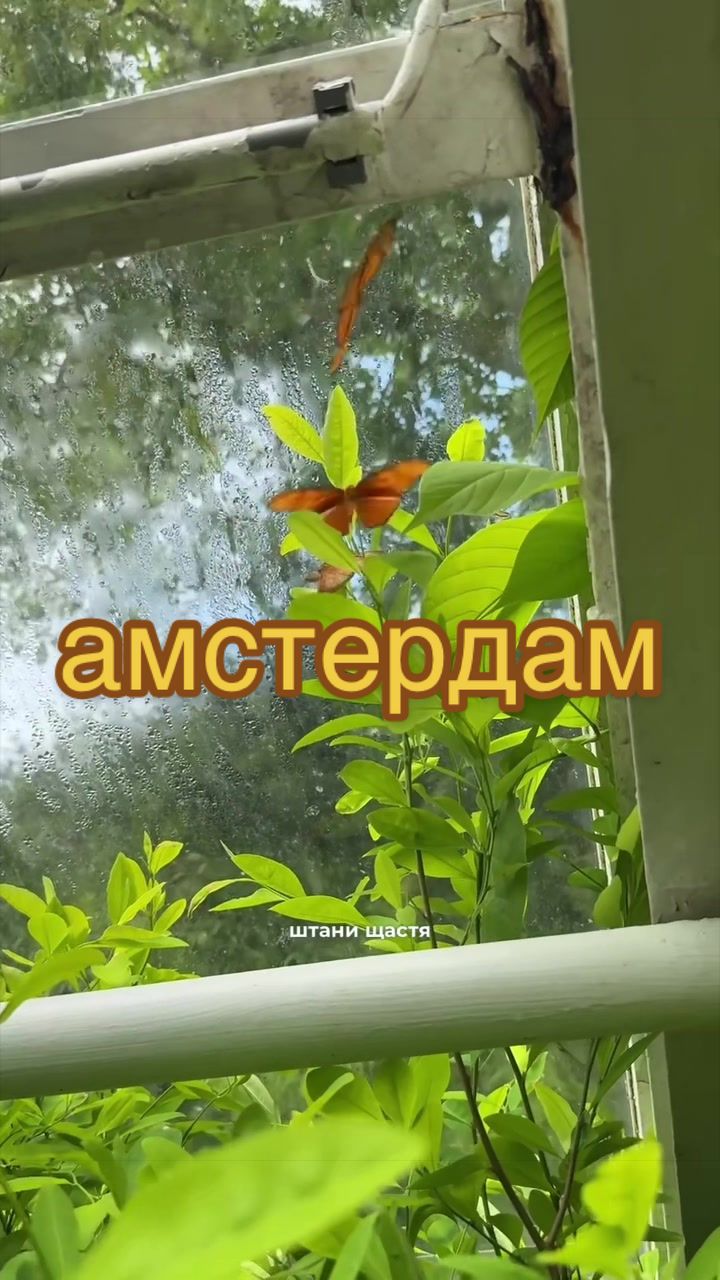@🧚леся🧚