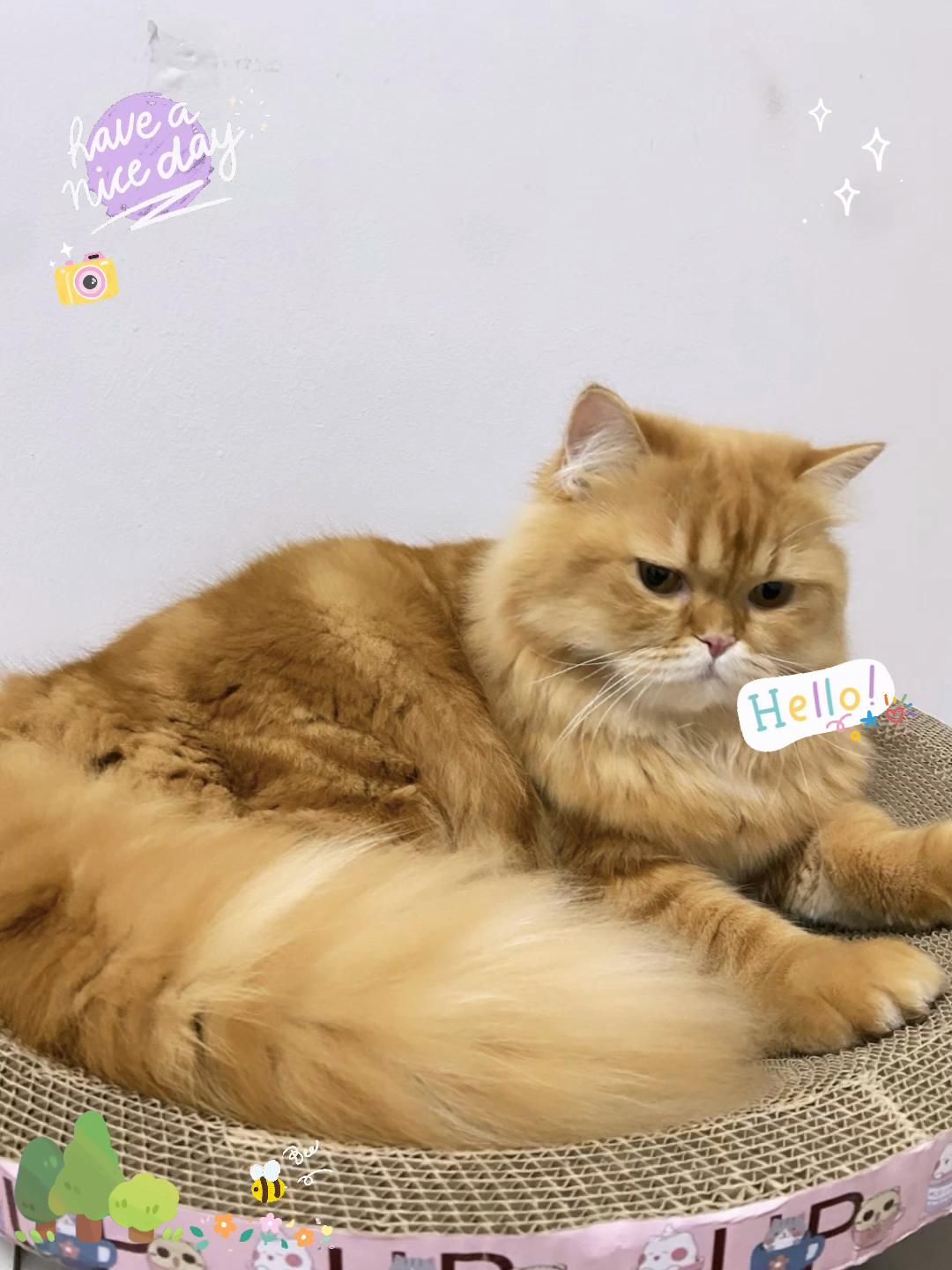 @Chonlada Buapa