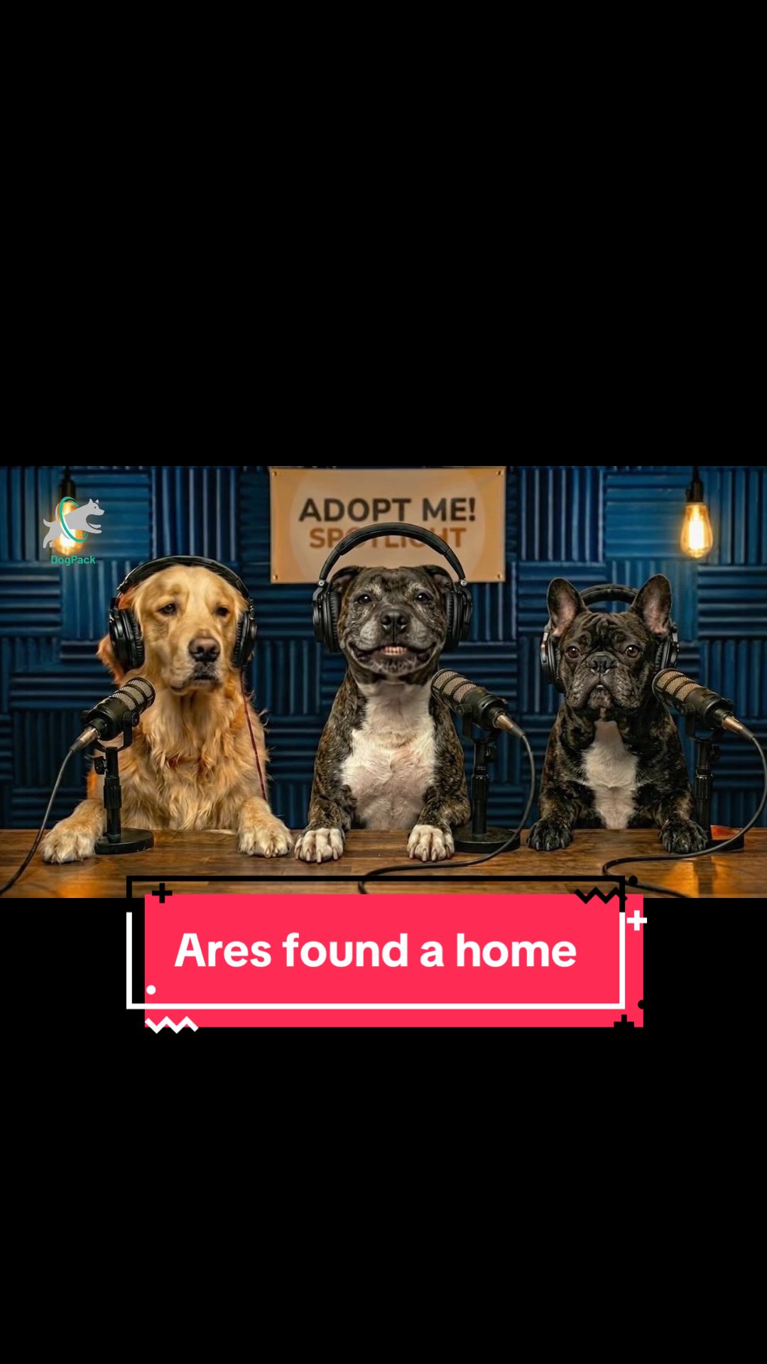 @DogPack