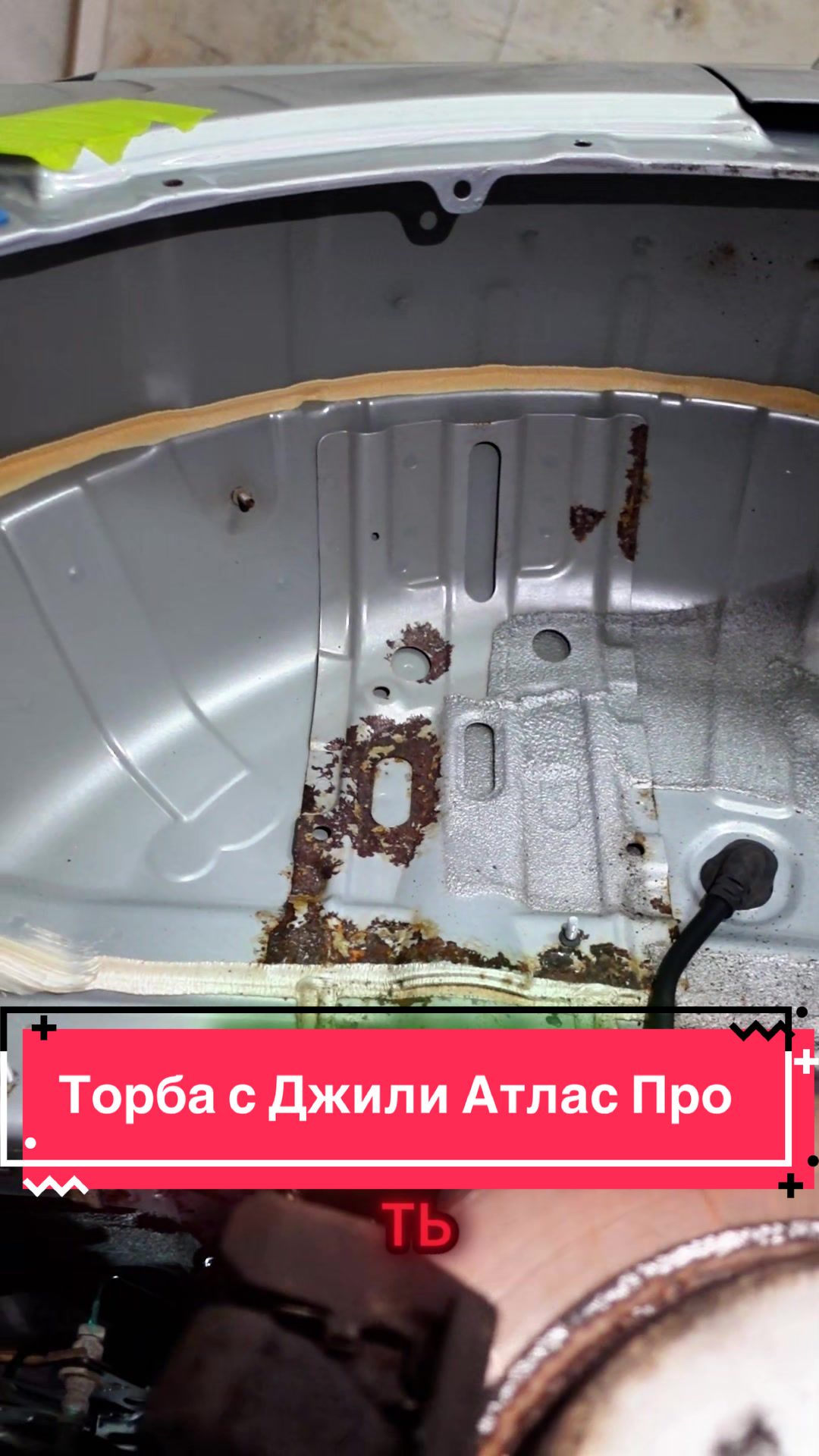 @Пегас-авто Витебск