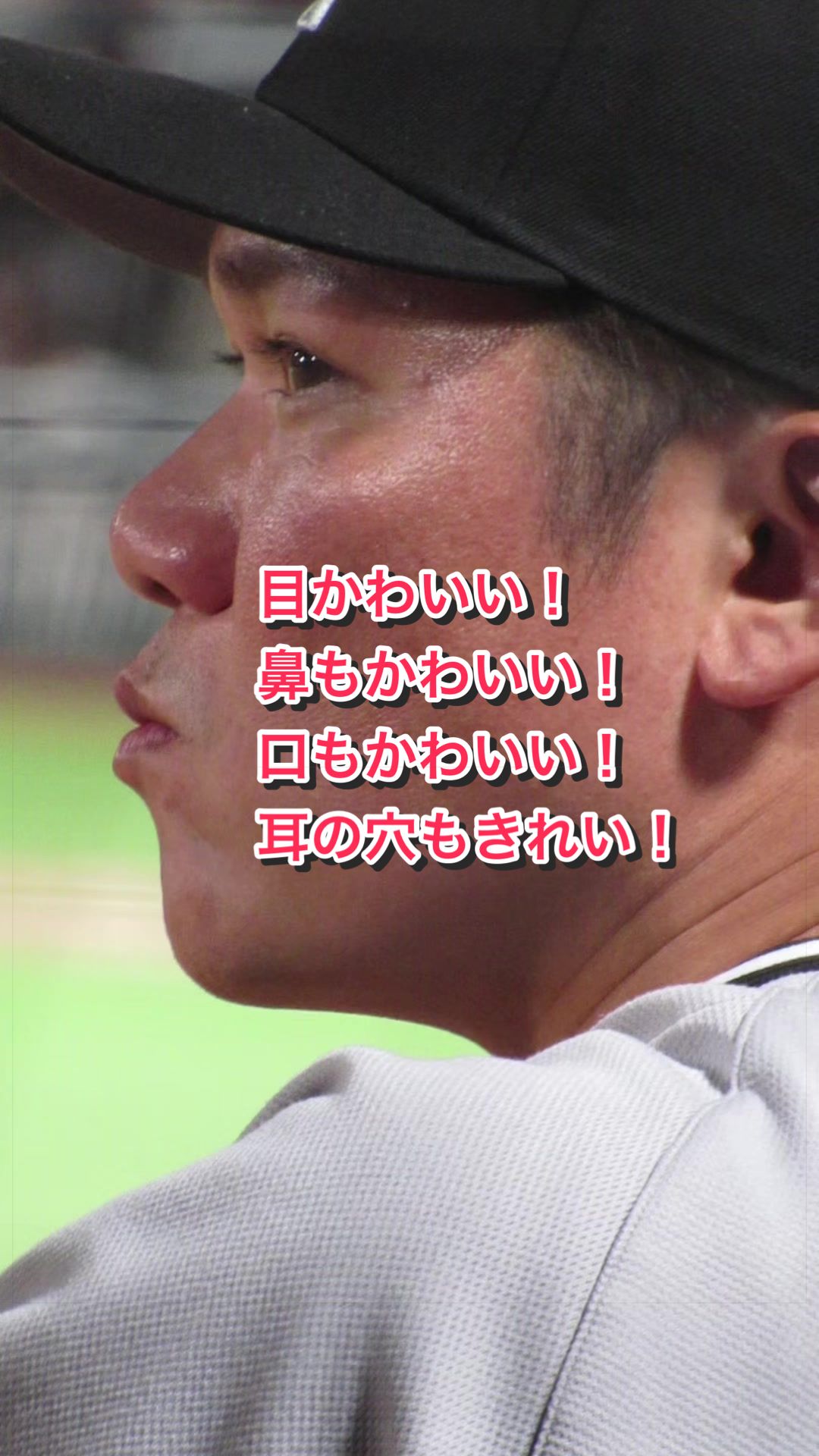 @ヘパリーゼ🫀
