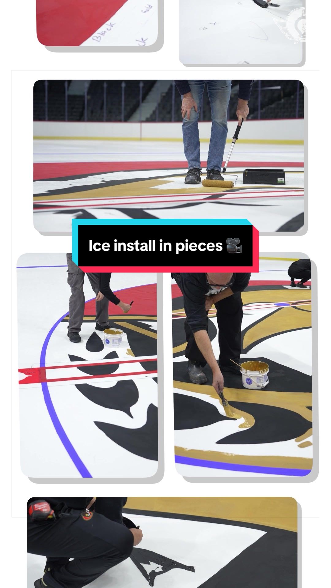 @Ottawa Senators
