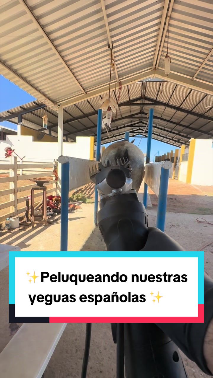 @Yeguada La Familia