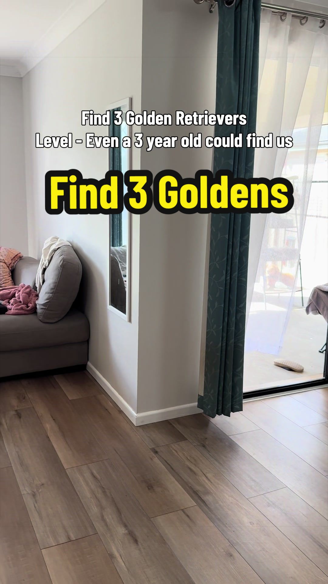 @3goldenretriever