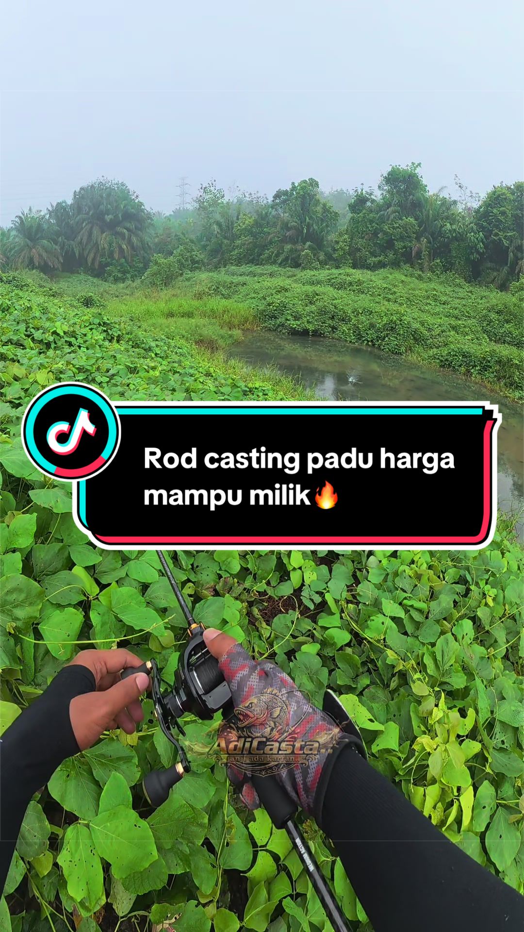 @AdiCasta..