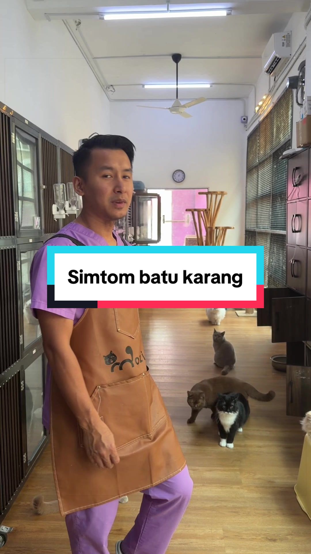 @MOZICAT | CAT GROOMING RAWANG